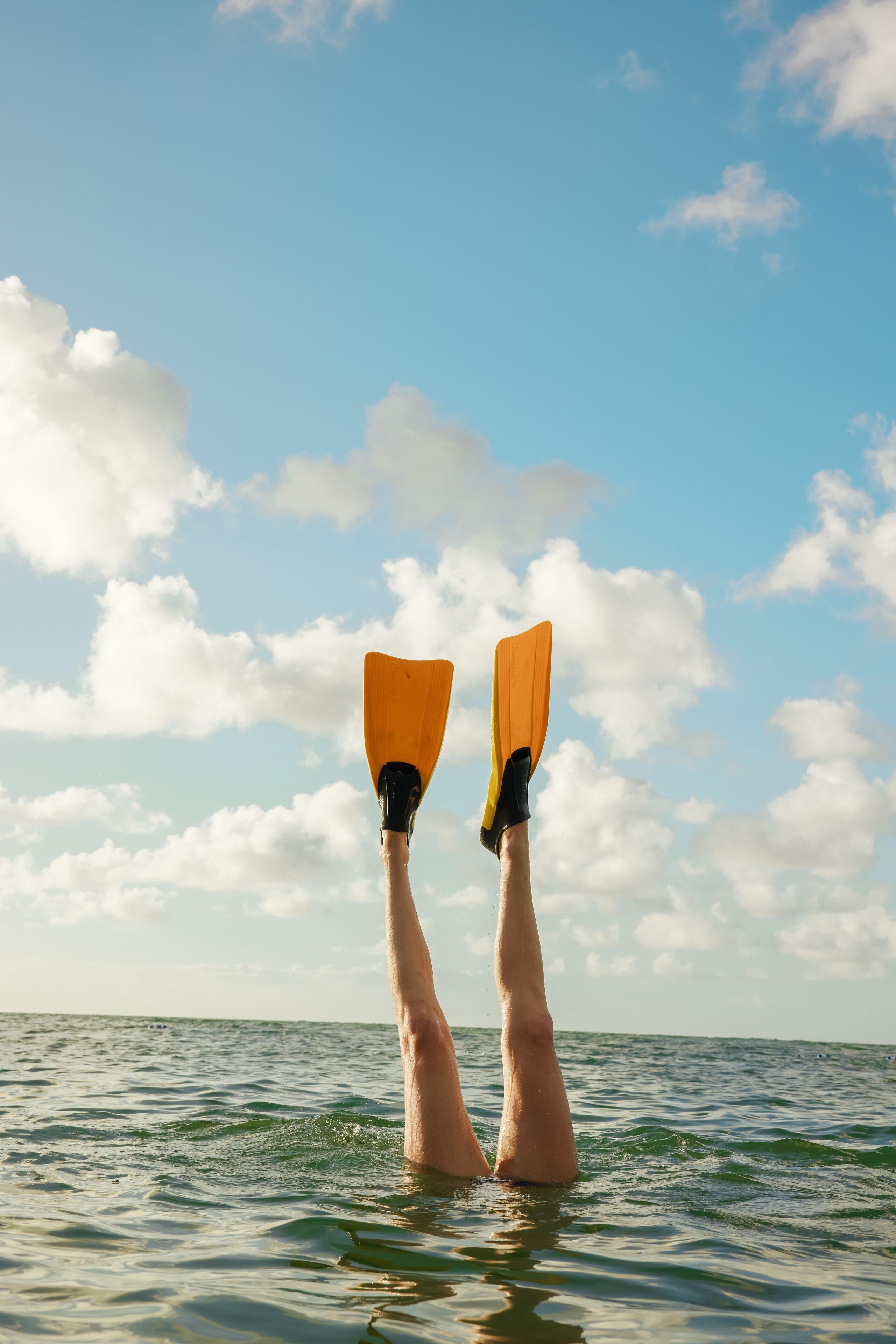 surfing/boogie boarding