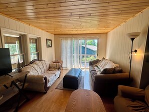 Smart TV, fireplace, DVD player, books