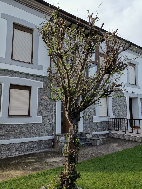 A building with stone facade and multiple windows, a tree in front, and a grassy area.