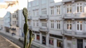 A cactus in the foreground with a blurred background of buildings. - GuestReady - Rivoli Studio (Porto)