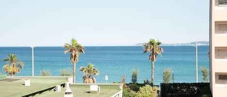 Un bâtiment situé sur la côte, doté d’une terrasse sur le toit, de palmiers et offrant une vue sur la mer.