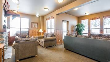 TV connectée, cheminée, lecteur de DVD, livres