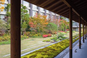 สนามรอบบริเวณ