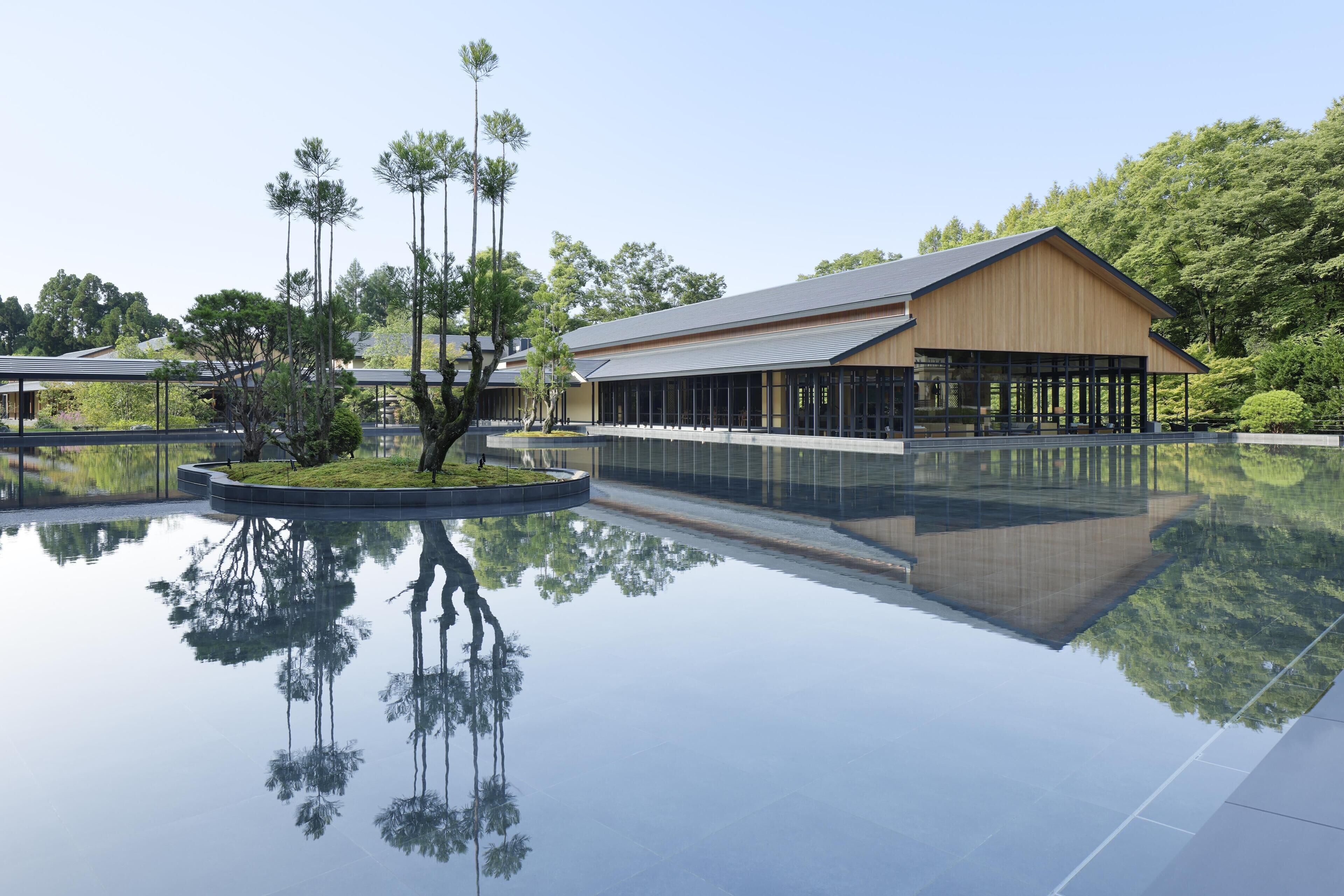 Un edificio moderno con una piscina reflectante, rodeado de árboles y follaje.