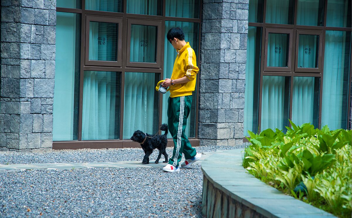 A person walking a dog in front of a building with large windows and a stone facade.