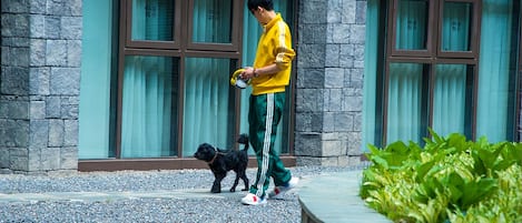 A person walking a dog in front of a building with large windows and a stone facade.