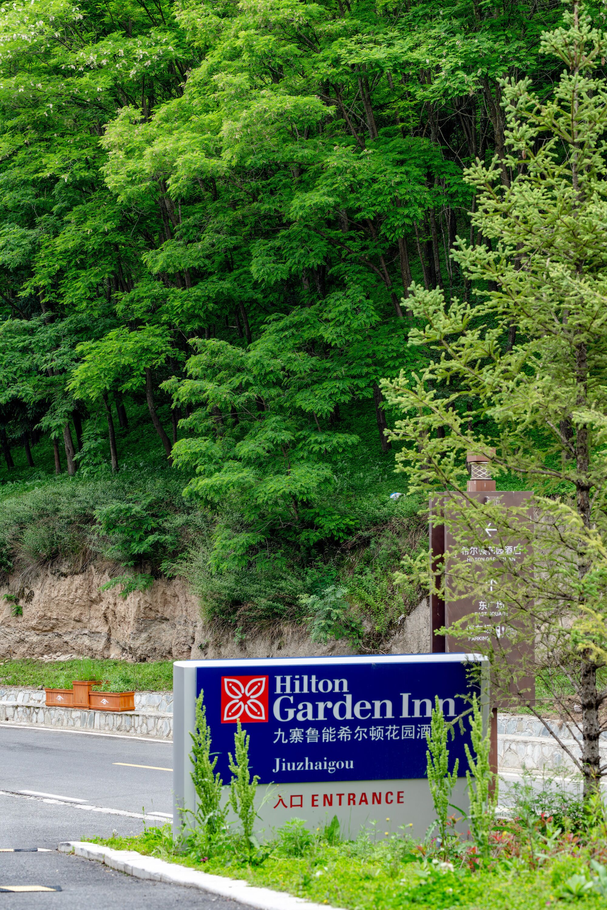A sign for Hilton Garden Inn with a view of lush greenery in the background.