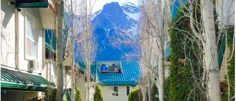 Un patio con vista a la montaña, rodeado de edificios con techos verdes y árboles sin hojas.