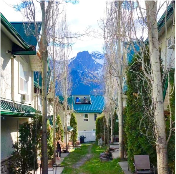 Une cour offrant une vue sur la montagne, entourée d’immeubles aux toits végétalisés et d’arbres sans feuilles.
