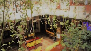 Ein Zimmer mit hängenden Pflanzen, Holzmöbeln und Fliesenboden.