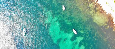 海滩