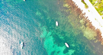 Ca Ses Nines 003 fantastique maison de village avec terrasse, BBQ, air conditionné et WiFi