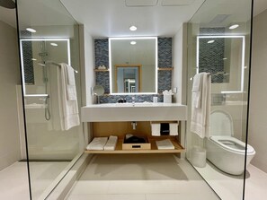 A modern bathroom with a glass shower enclosure, a white sink, a mirror, and a toilet. - The Morgan Resort & Spa (Simpson Bay)