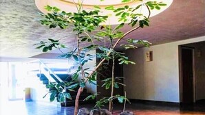 Um hall de entrada com um arranjo de plantas no centro, rodeado por pedras grandes e um chão ladrilhado.