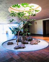 32-inch LED TV with cable channels, TV