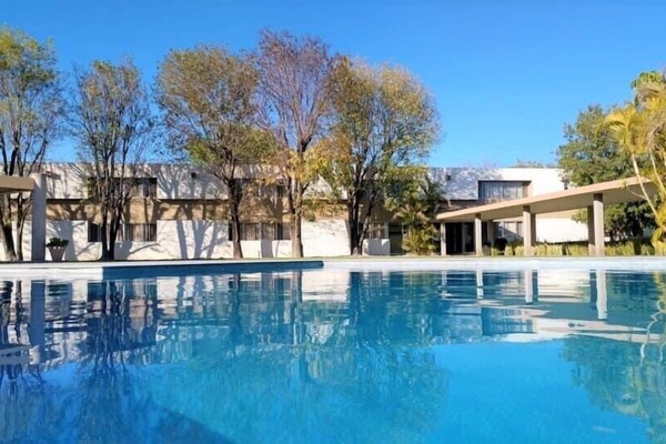 Outdoor pool, open 8:00 AM to 8:00 PM, sun loungers