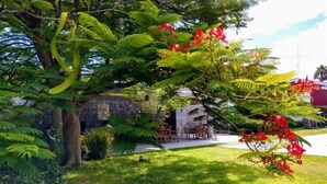 Um jardim com área de refeições, um muro de pedra e uma árvore com flores vermelhas.
