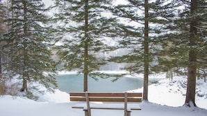 Una panca di legno in una foresta innevata con un lago sullo sfondo.