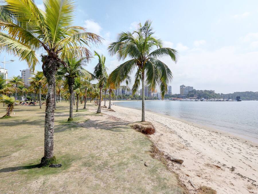 Ein Strand mit Palmen und einer Stadtkulisse im Hintergrund.