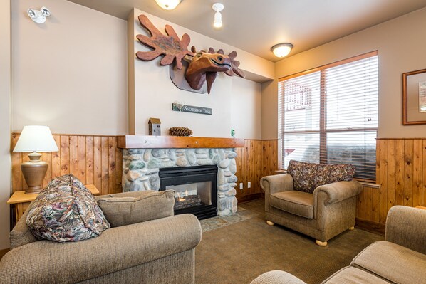 TV, fireplace, books