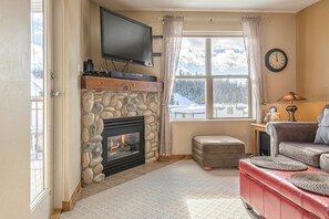 TV, fireplace, books