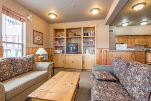 TV, fireplace, books