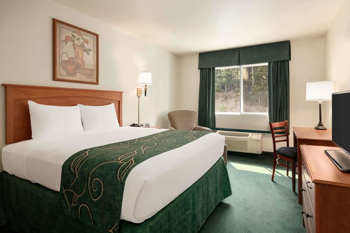Habitación de hotel con cama, escritorio, silla, televisión, ventana con cortinas, lámpara de pared y un cuadro.