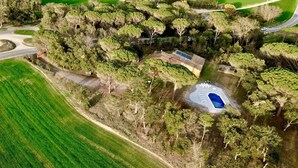 Vista aérea de una propiedad con piscina, rodeada de árboles y campos.