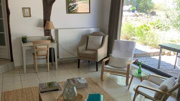 TV connectée, cheminée, jeux vidéo, lecteur de DVD