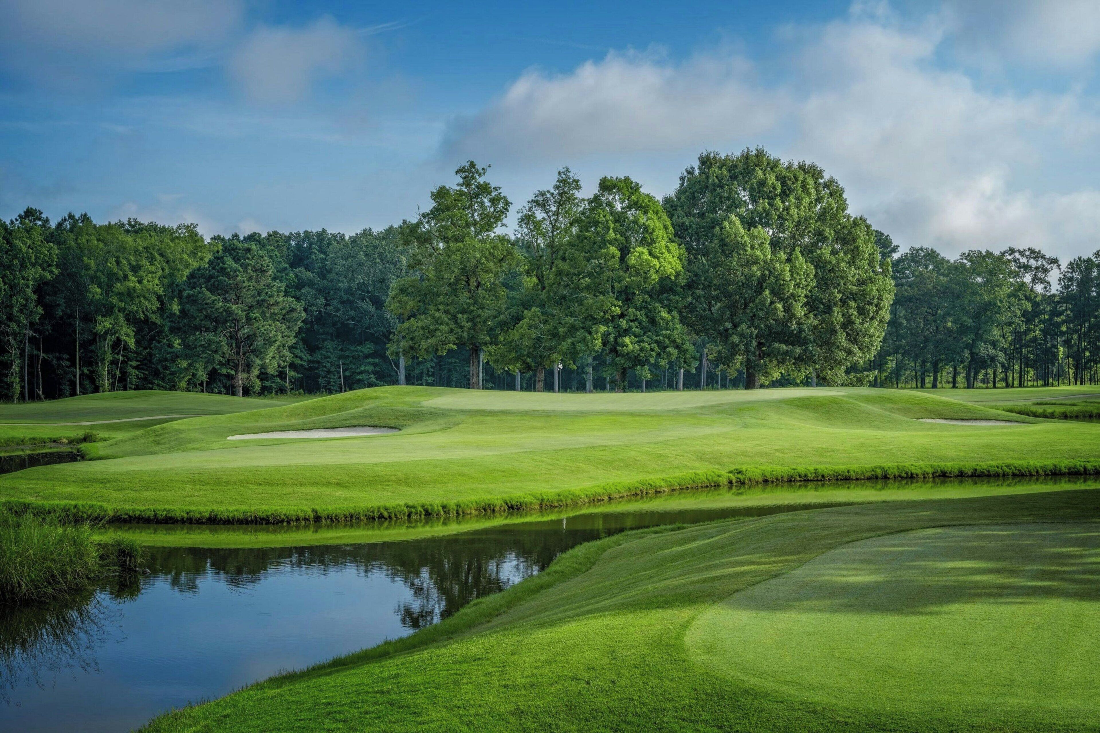 A golf course with a pond, trees, and a clear sky.