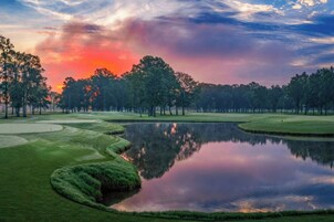 Servicios del alojamiento