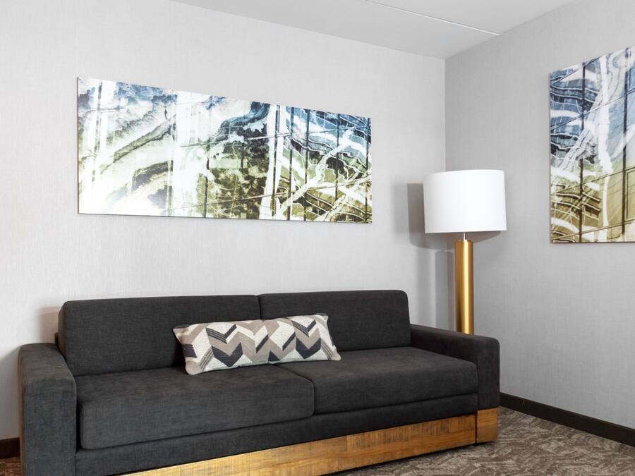 Un salon moderne avec un canapé gris, un coussin décoratif à motifs et deux tableaux abstraits accrochés au mur.