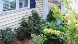 Una casa con un jardín delantero que incluye varios arbustos y un árbol pequeño.