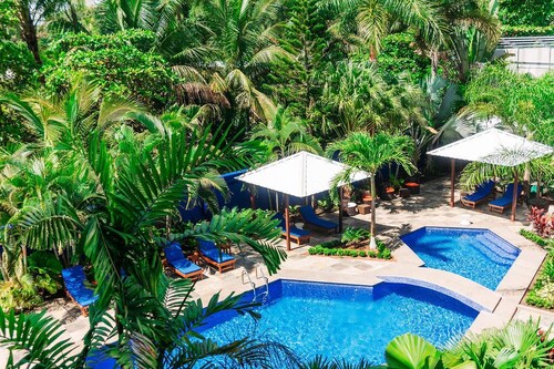 Beachfront Hotel Pool Spa Gym Bar Restaurant Suite w/ Kitchen Walk to Everything