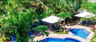 Beachfront Hotel Pool Spa Gym Bar Restaurant Suite w/ Kitchen Walk to Everything