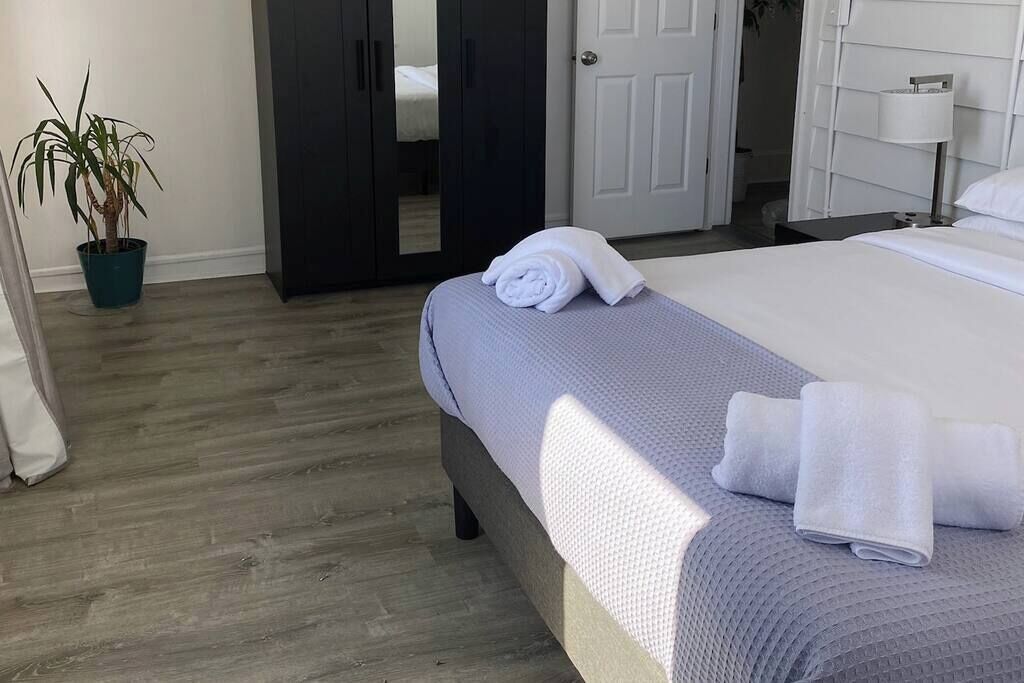 A hotel room with a bed, a potted plant, a door, and a nightstand with a lamp.