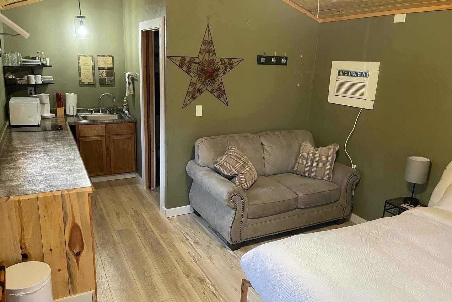 A compact living space with a kitchenette, a sofa, and a bed.