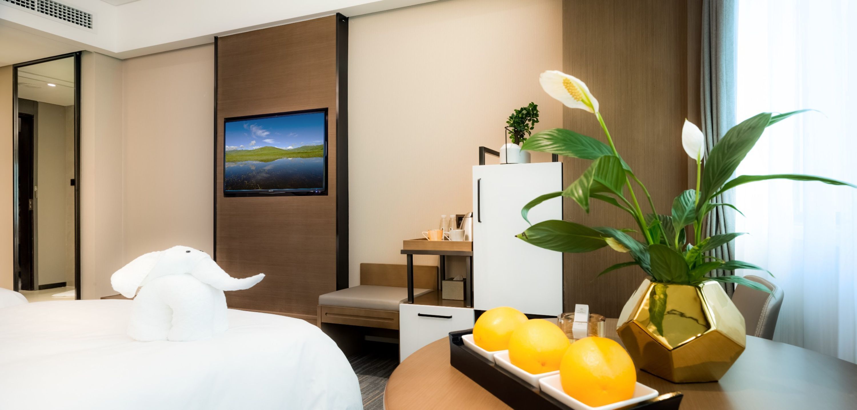 Phòng 2 giường đơn Superior | Bàn, màn/rèm cản sáng, truy cập Internet không dây miễn phí 