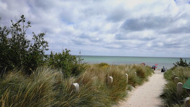 En sandstig som leder till en strand under en molnig himmel.