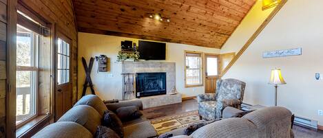 Télévision, cheminée, lecteur de DVD, livres