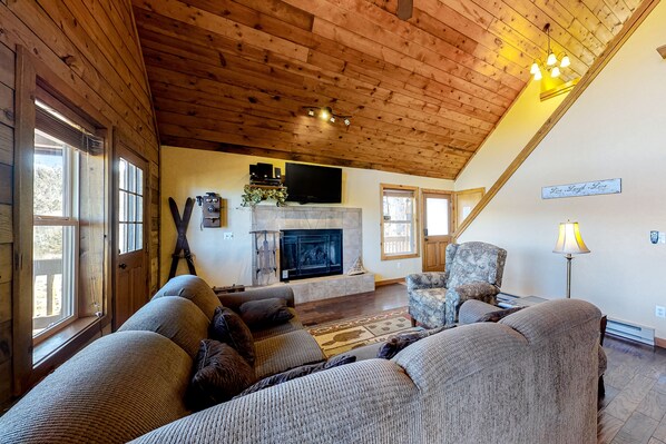 Televisión, chimenea, reproductor de DVD y libros 