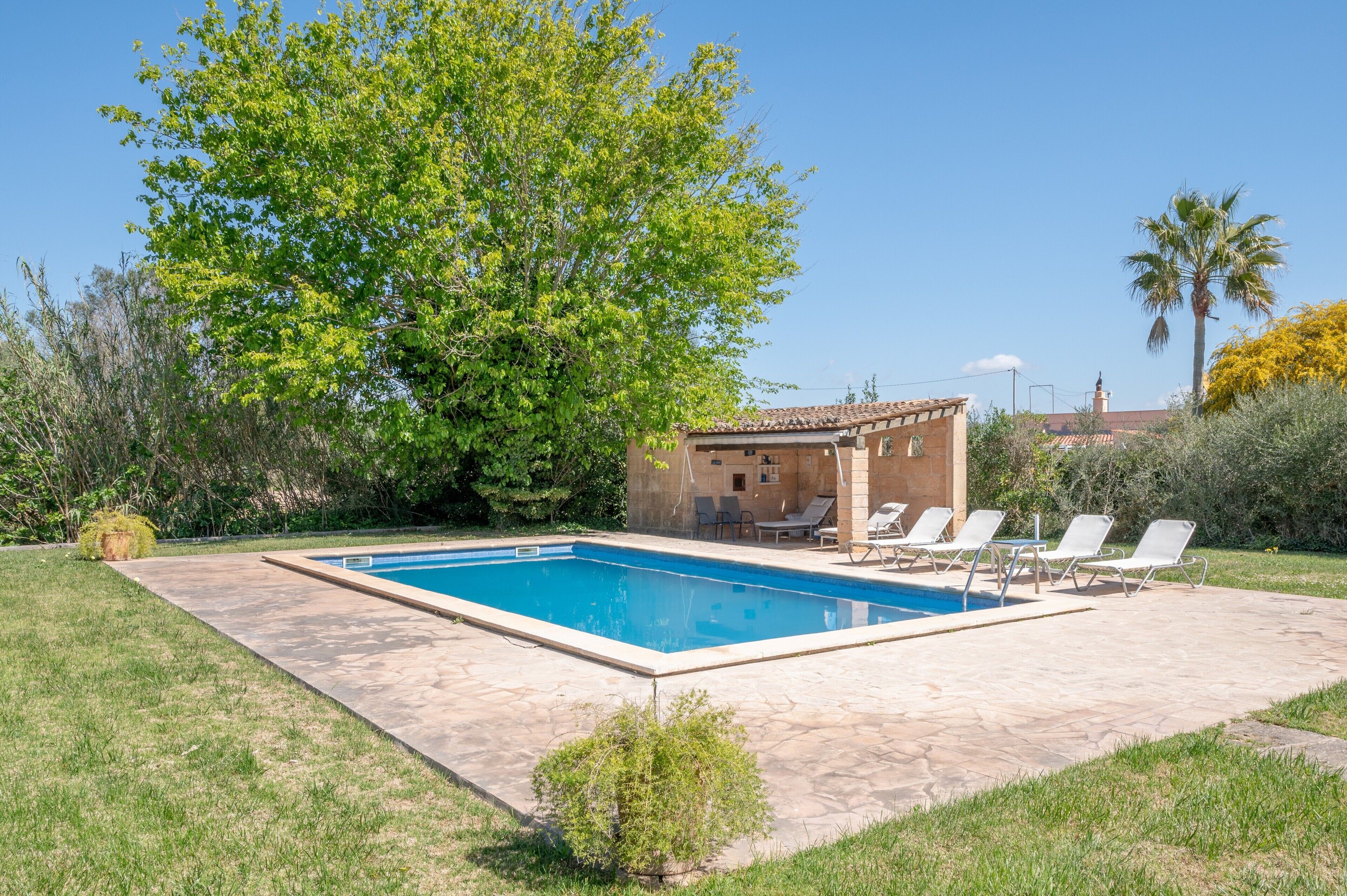 Una piscina con sillas de descanso, un edificio pequeño con techo de tejas y follaje circundante.