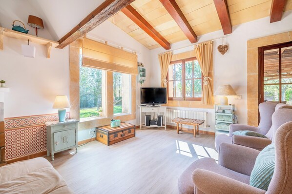 تلفزيون، مدفأة، مشغل دي في دي، ستيريو