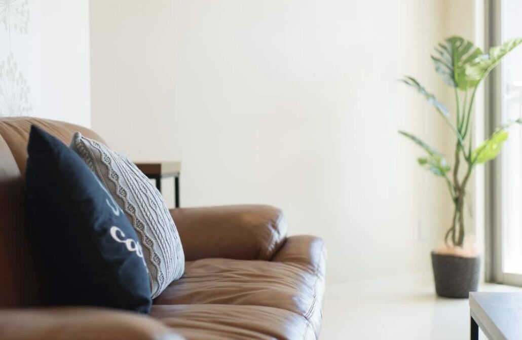 A brown leather sofa with patterned cushions, a small table, and a potted plant in a corner.