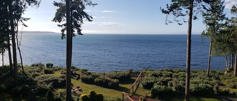 Vista desde la propiedad