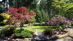 A landscaped garden with various trees, including red and purple flowering plants, and a stone pathway.