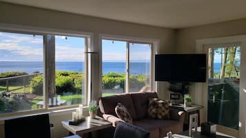 TV connectée, lecteur de DVD, livres, vidéothÚque