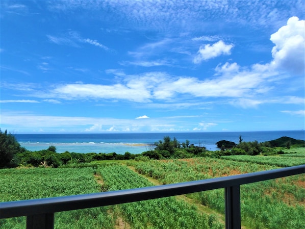 Rom, ikke-røyk (Grand blue 406) | Terrasse/patio