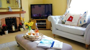 Télévision, lecteur de DVD, livres