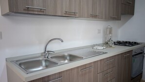 A modern kitchen with two stainless steel sinks, a gas stove, and wooden cabinetry.